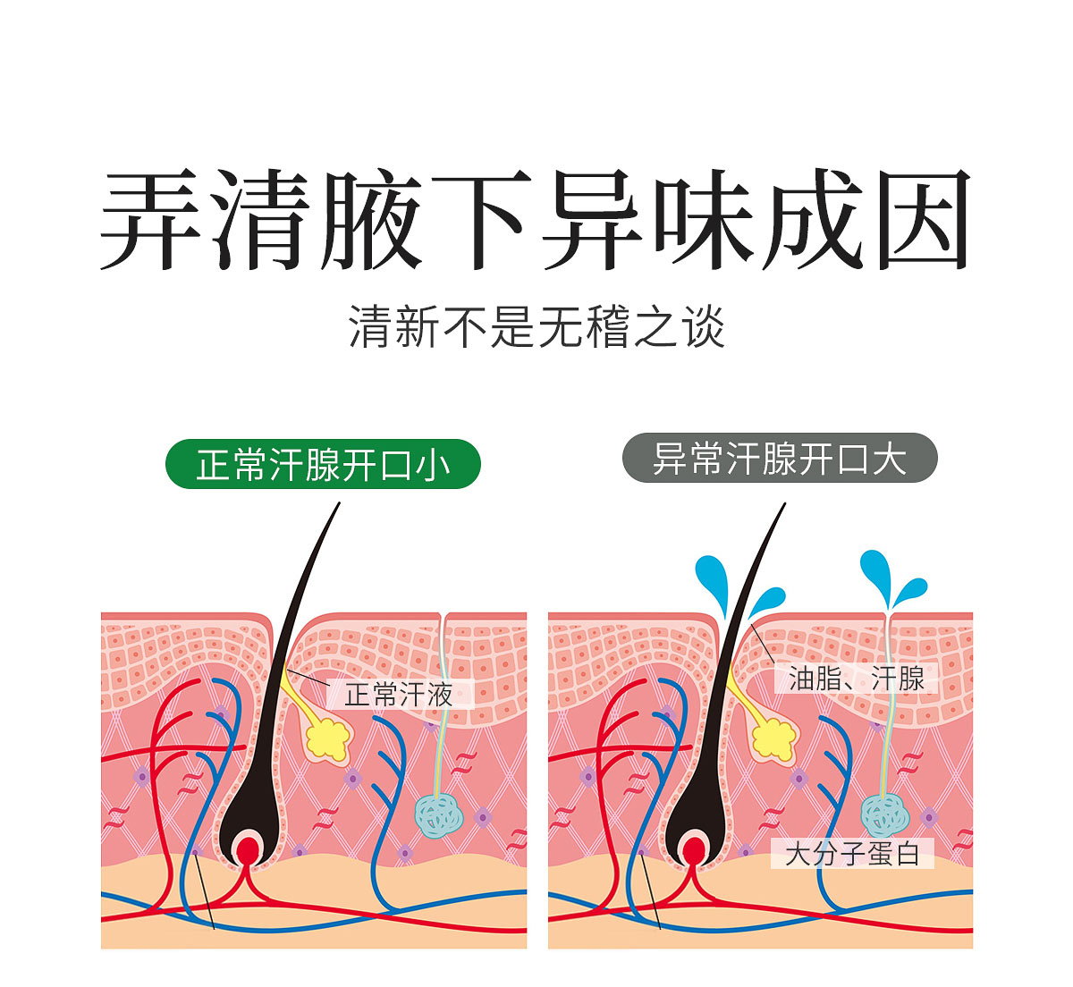 1721457488.jpg 4.jpg