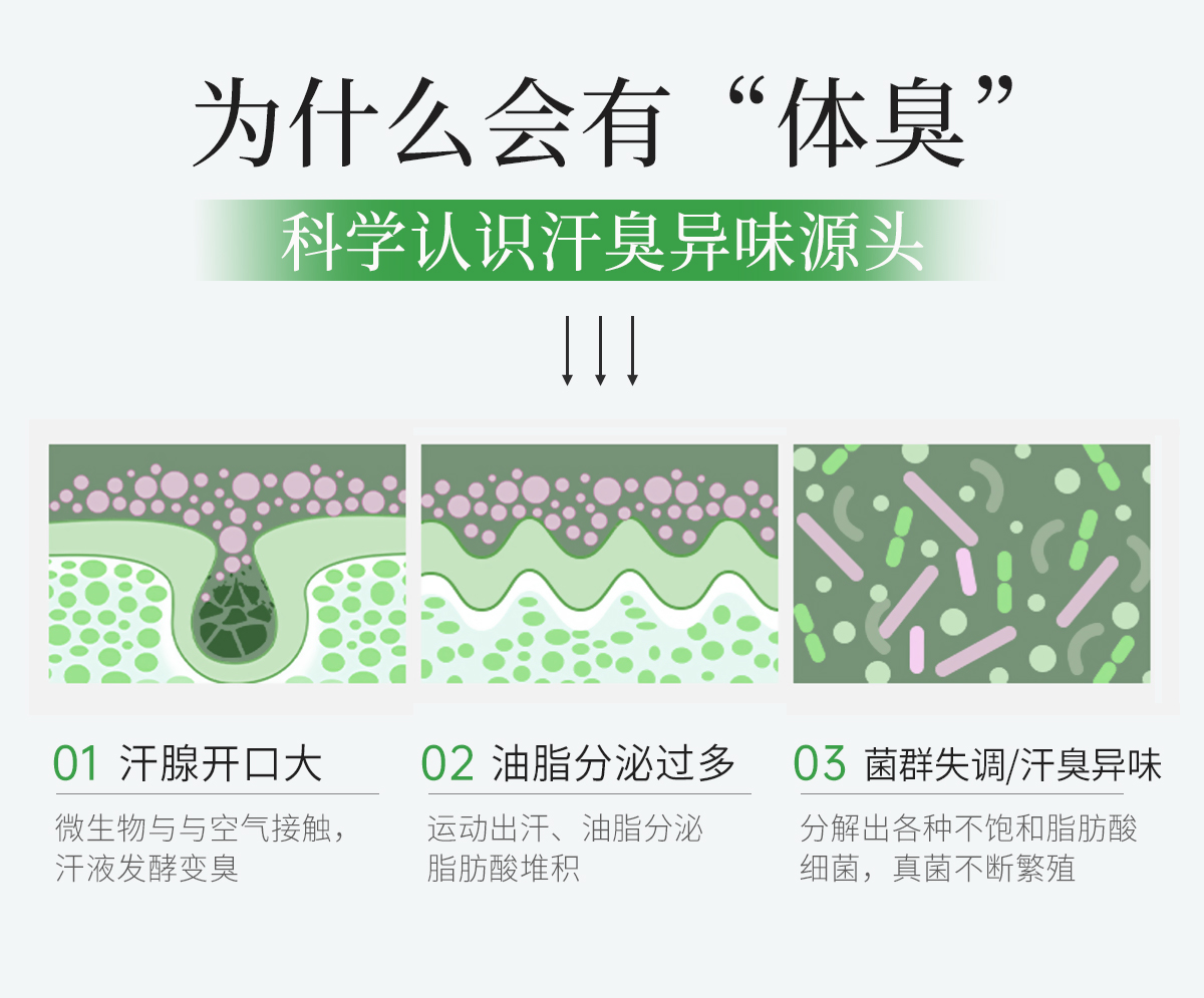 1751093945285472.jpg 植萃净爽喷雾官网详情页_04.jpg