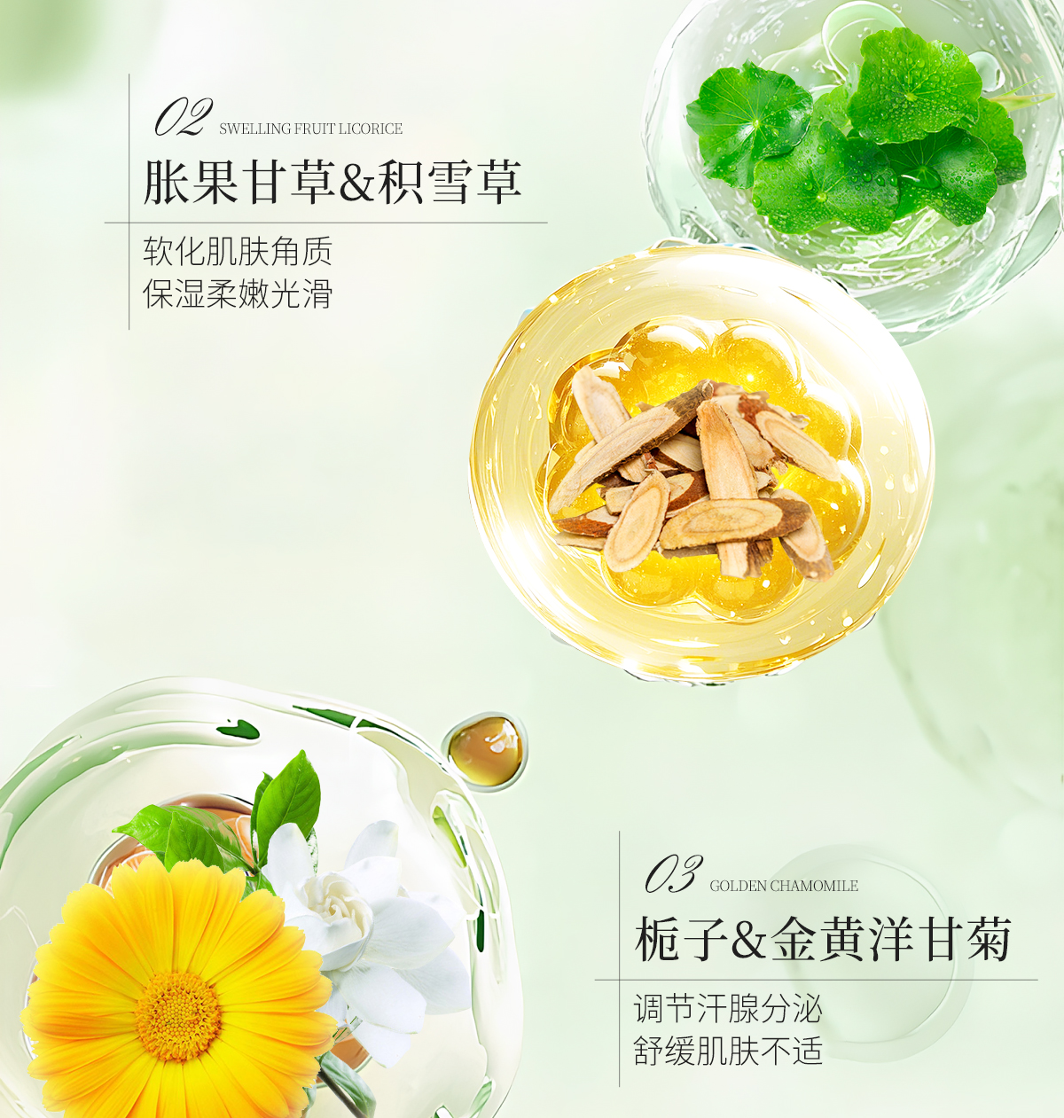 1751094070516811.jpg 植萃净爽喷雾官网详情页_12.jpg