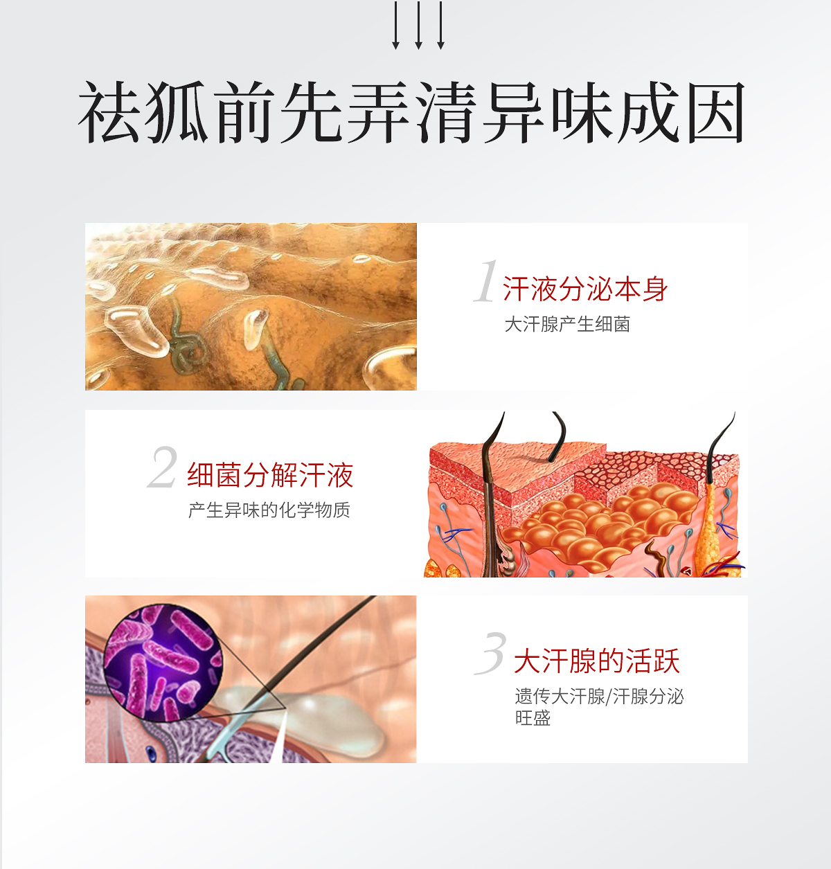 1752472046203196.jpg 舒爽清新液官网详情页_05.jpg